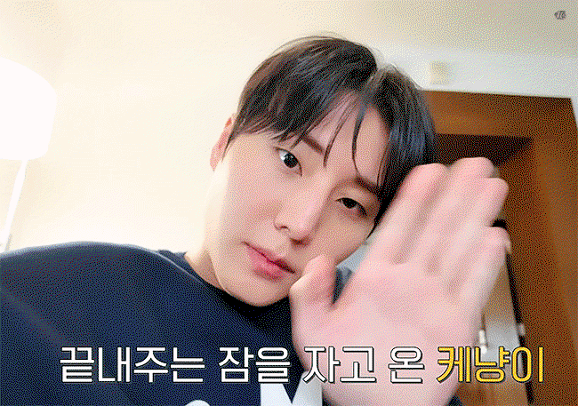 yDqehQ.gif