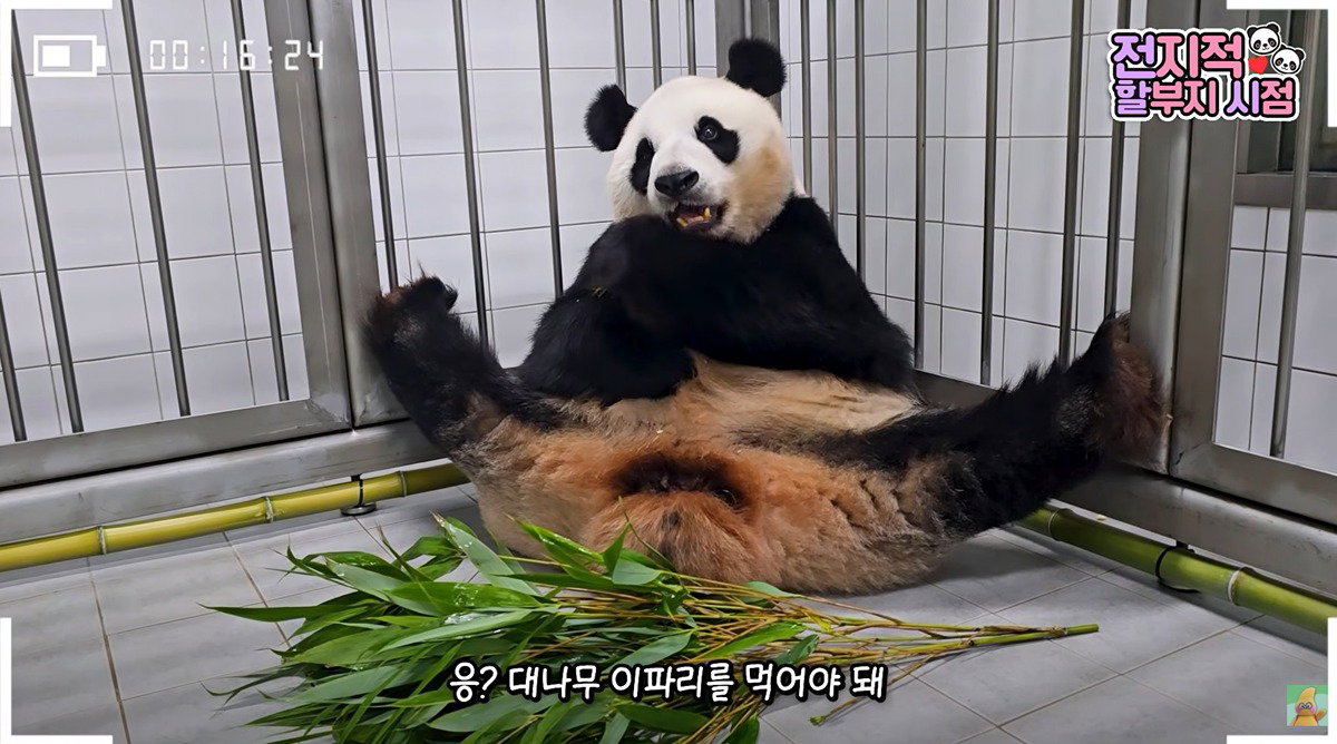 yEOiNz