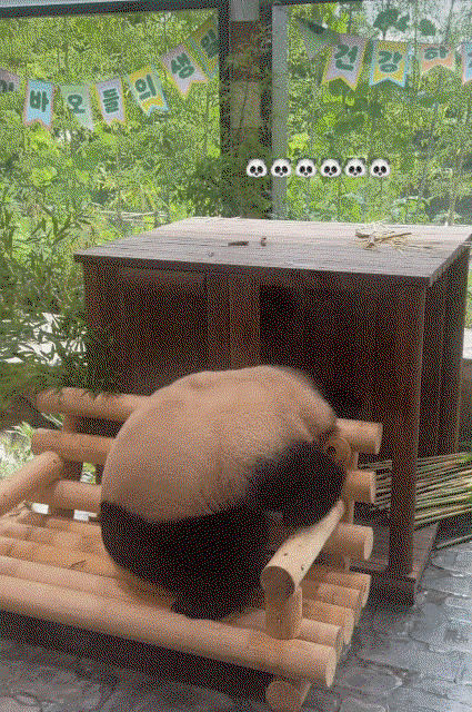 yFMmDG.gif