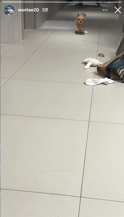 yFTZRK.gif
