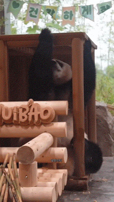 yFkoeP.gif
