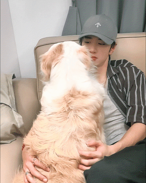 yHiiXN.gif