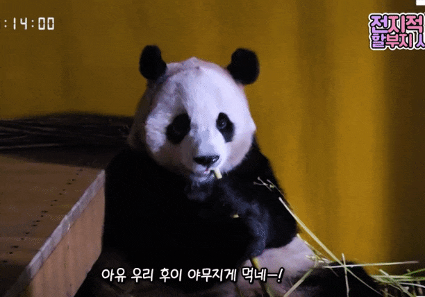 yJQyzG.gif