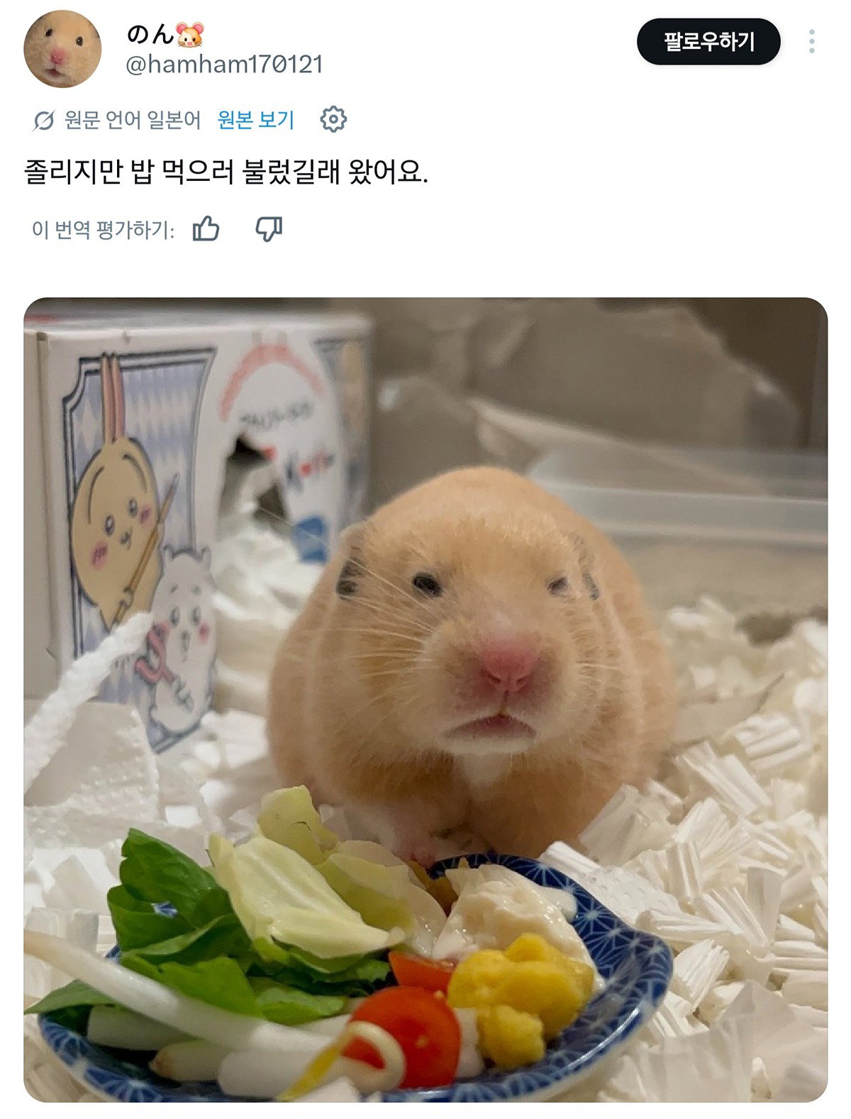 yJsSRY