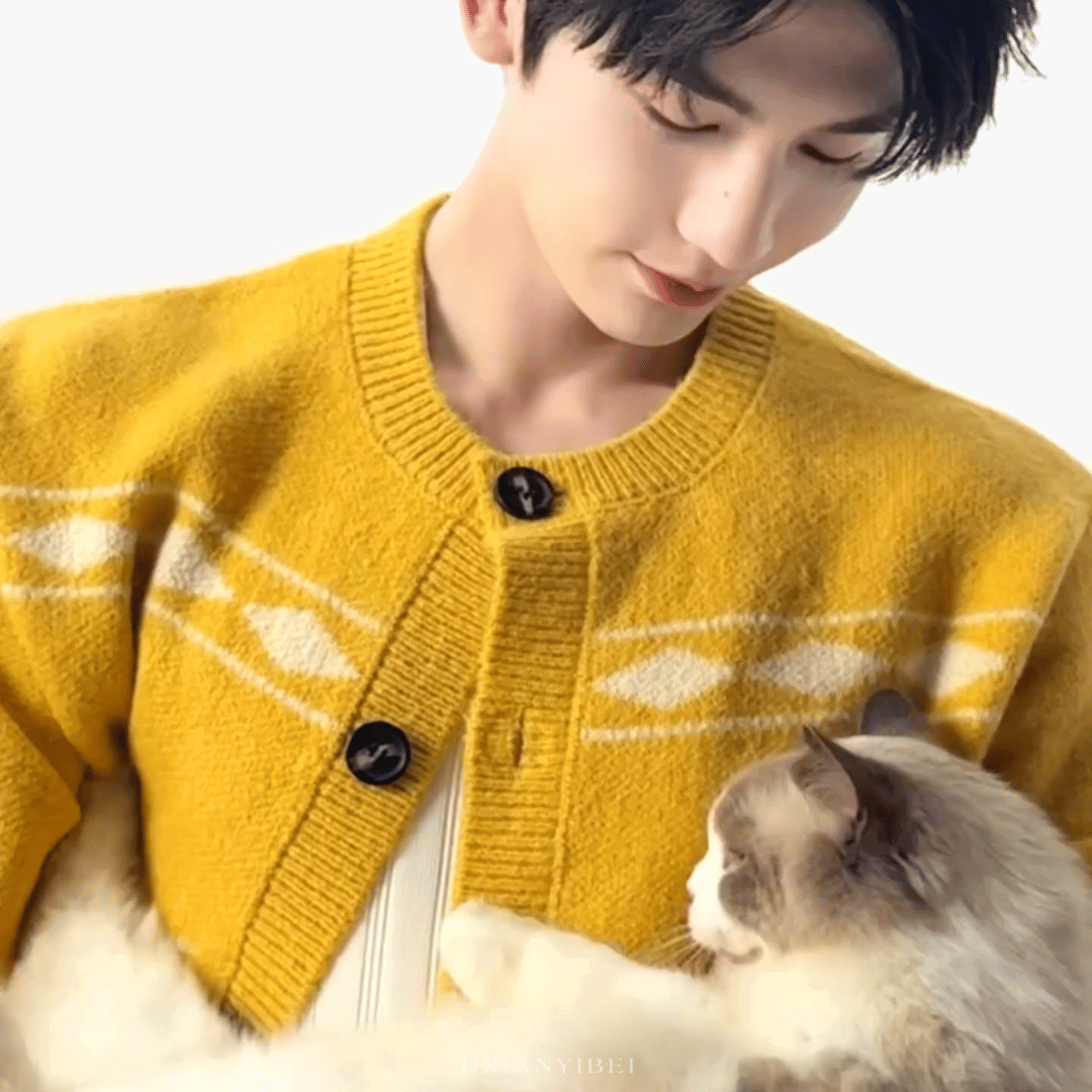 yOyKSY.gif