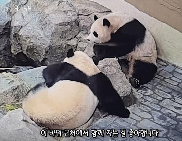 yPBMfj.gif
