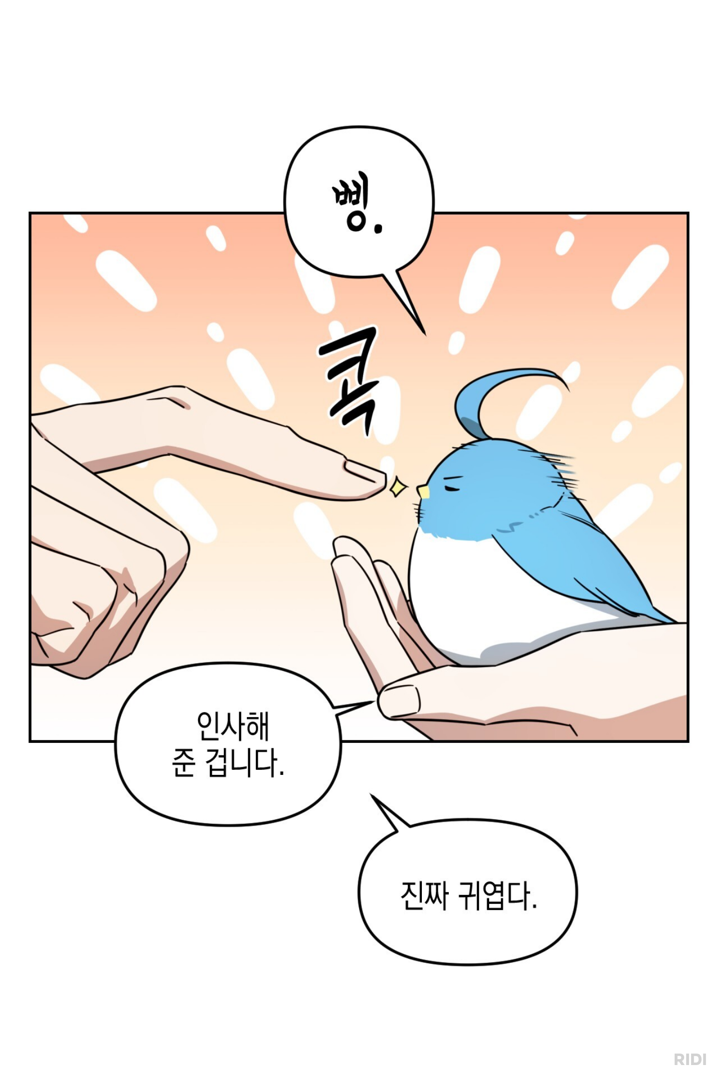 yQnGtY