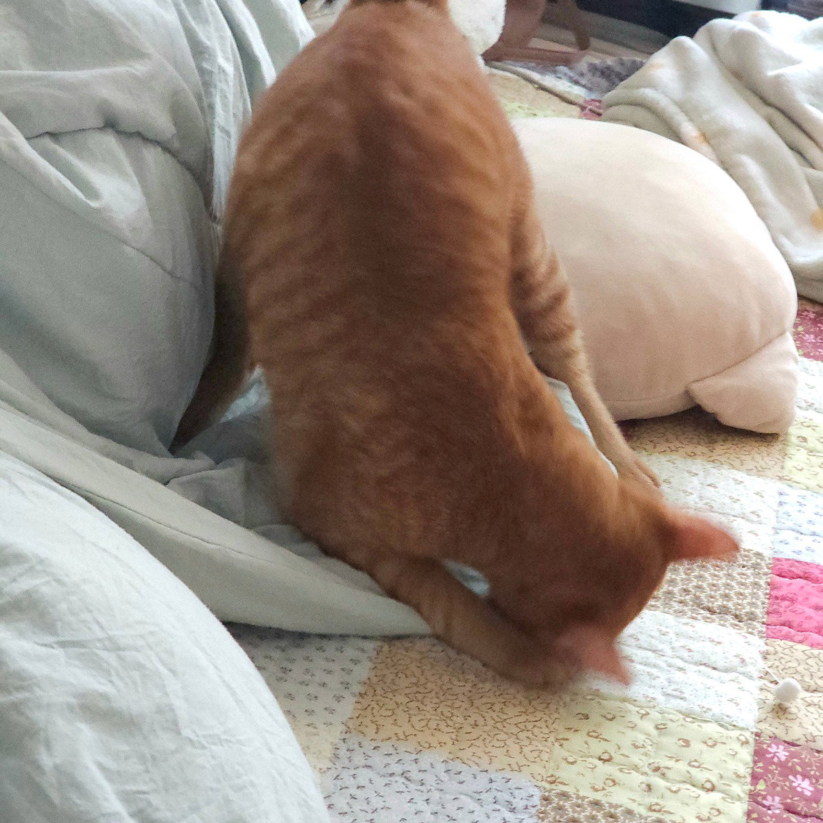 yRYDCr