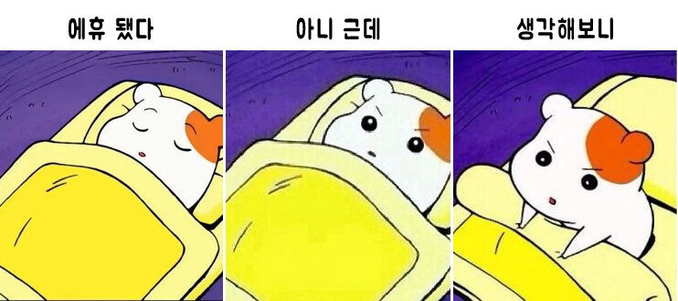 ySKBXu