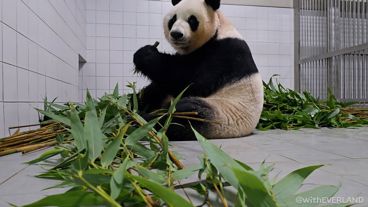 yVhpre
