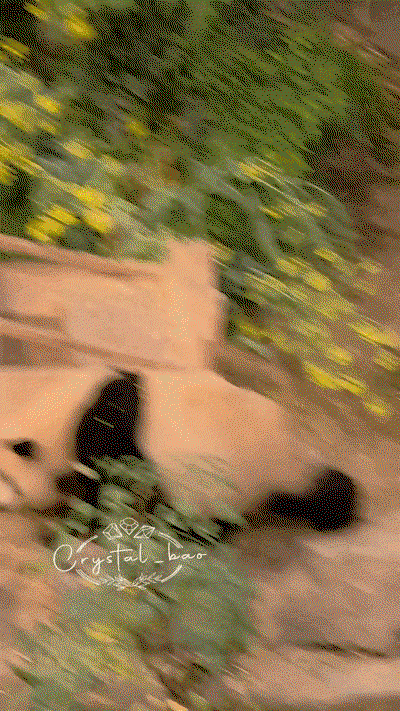 yZSoRZ.gif