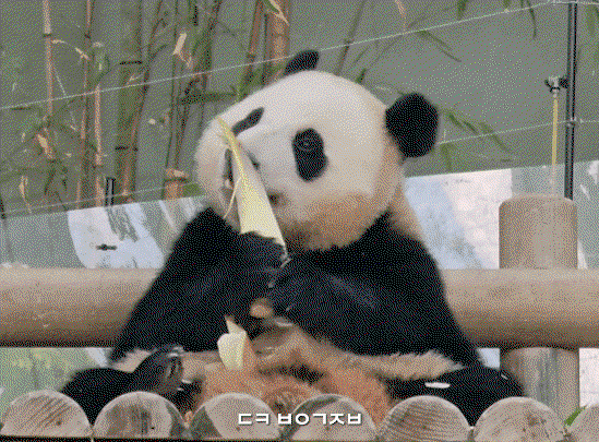 yatIpw.gif