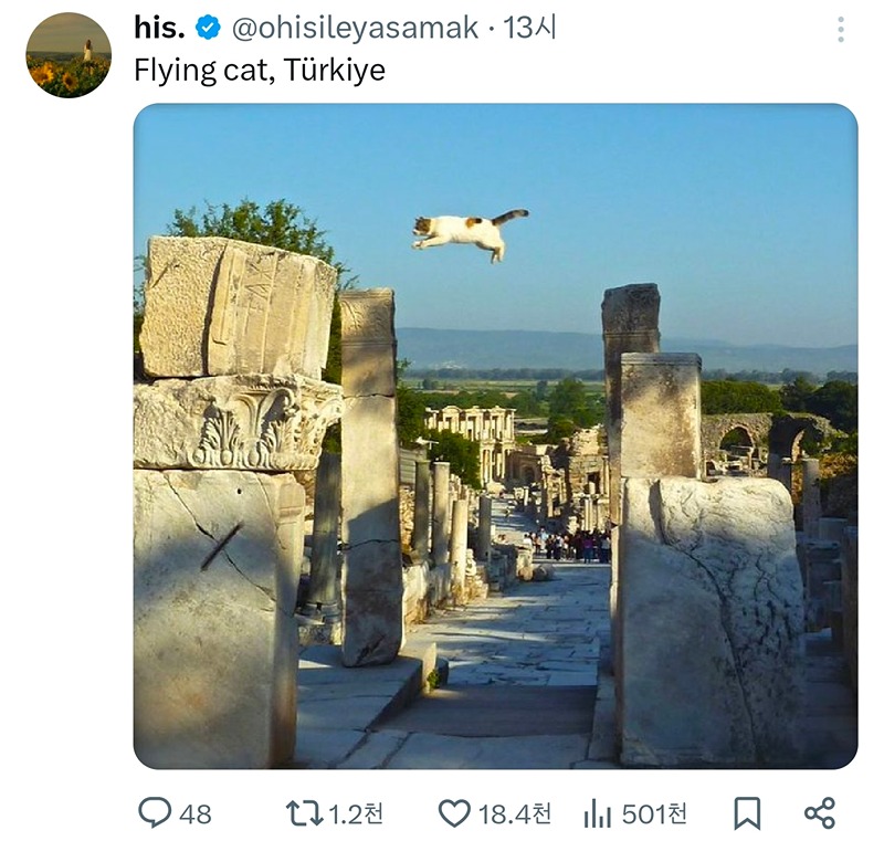 ybNPmB