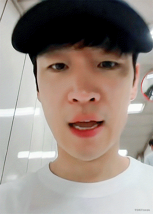 ycfbsh.gif