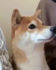 yeMIIl.gif
