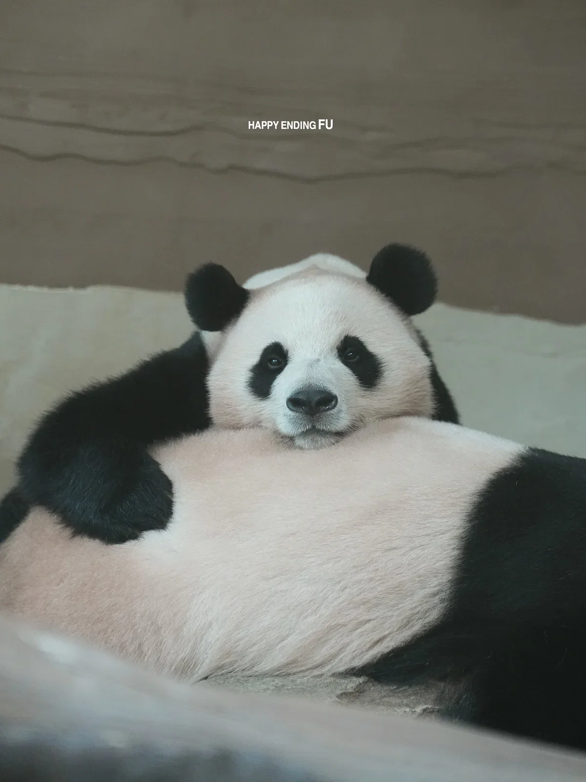 ygbKFY