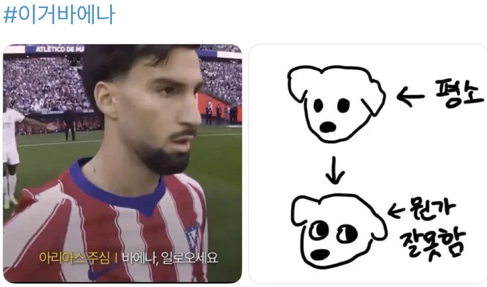 yhBcIw