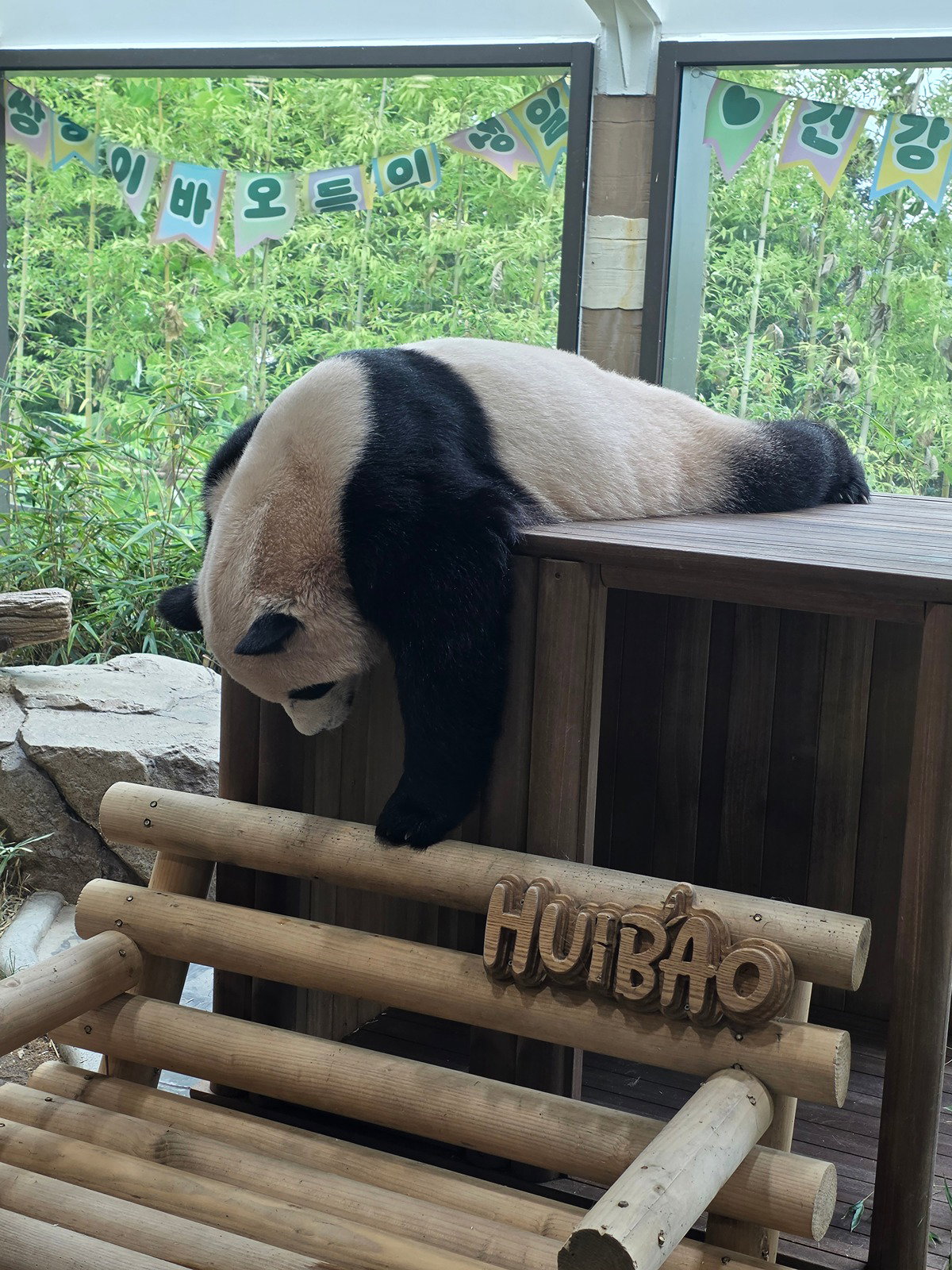 yhQuvi