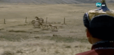 yjmSIE.gif