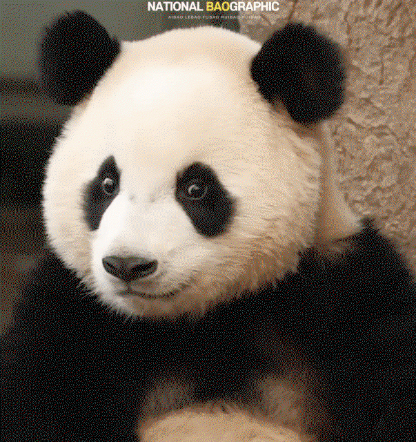 yoFQyu.gif