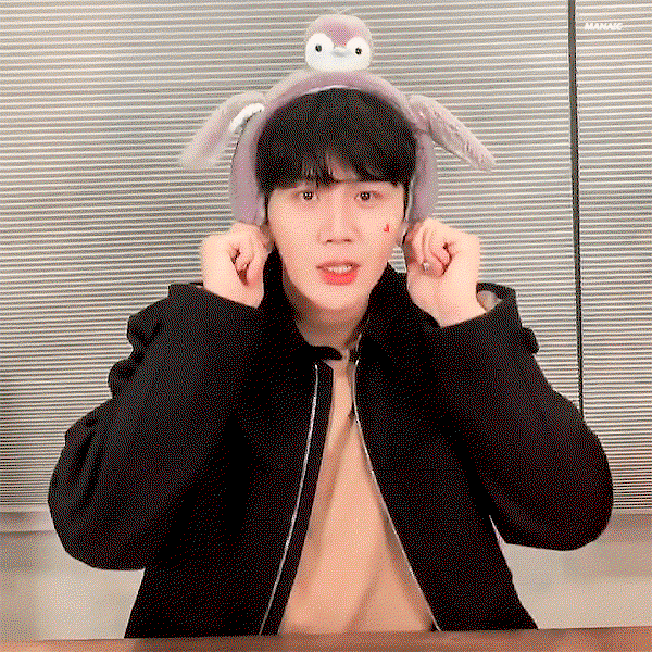 yqhnGi.gif
