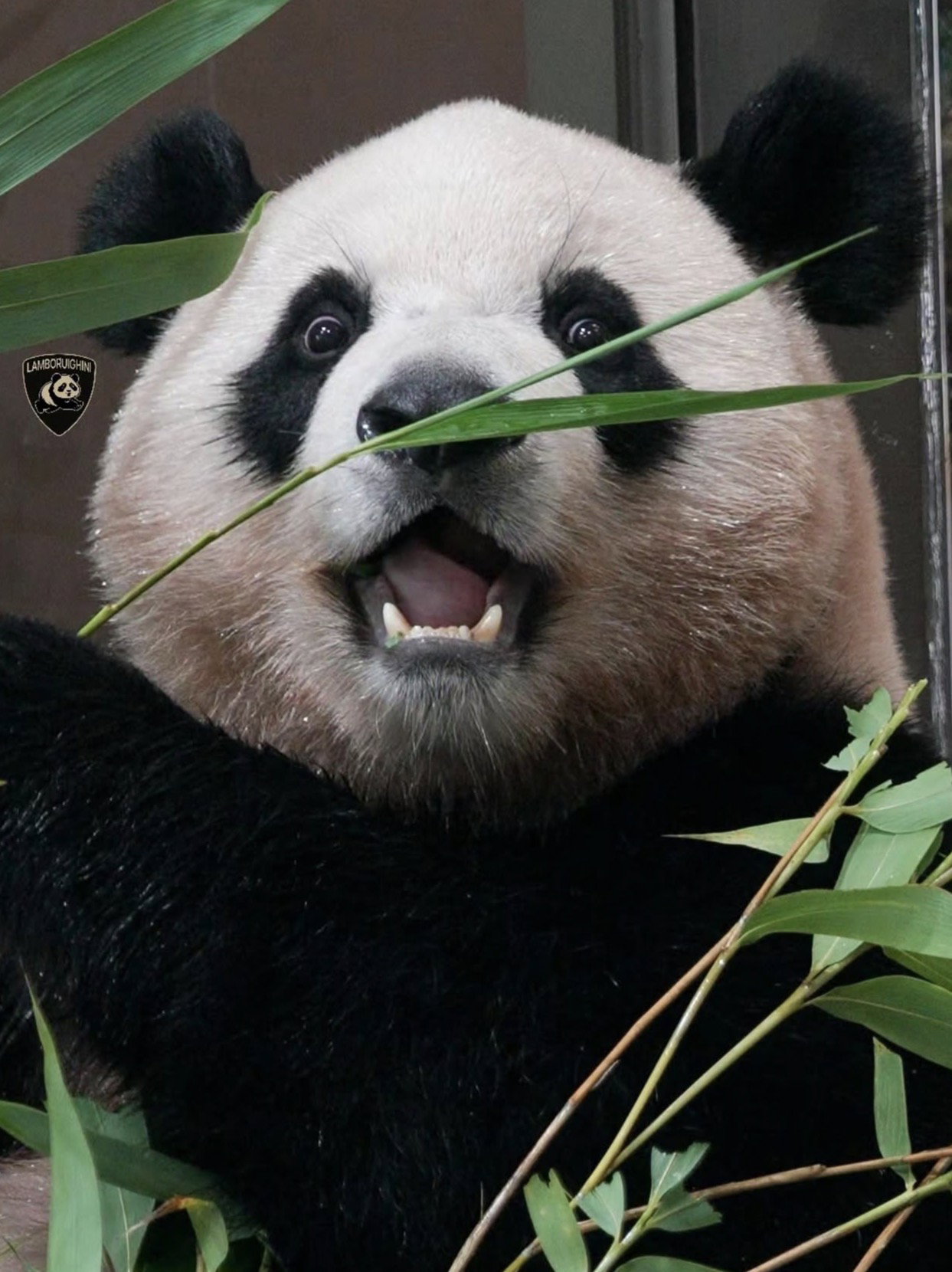 yrCznu