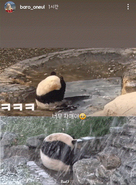 ytZjcV.gif