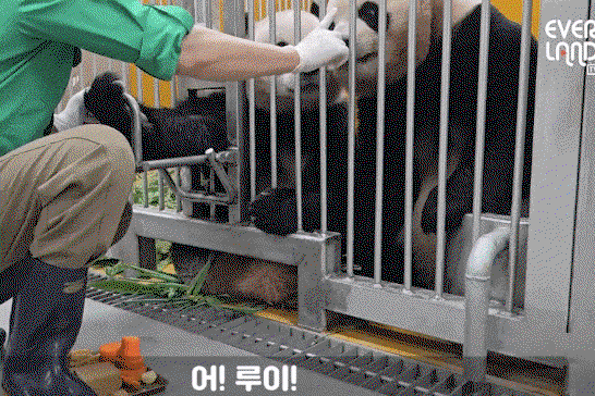 yuGaxi.gif