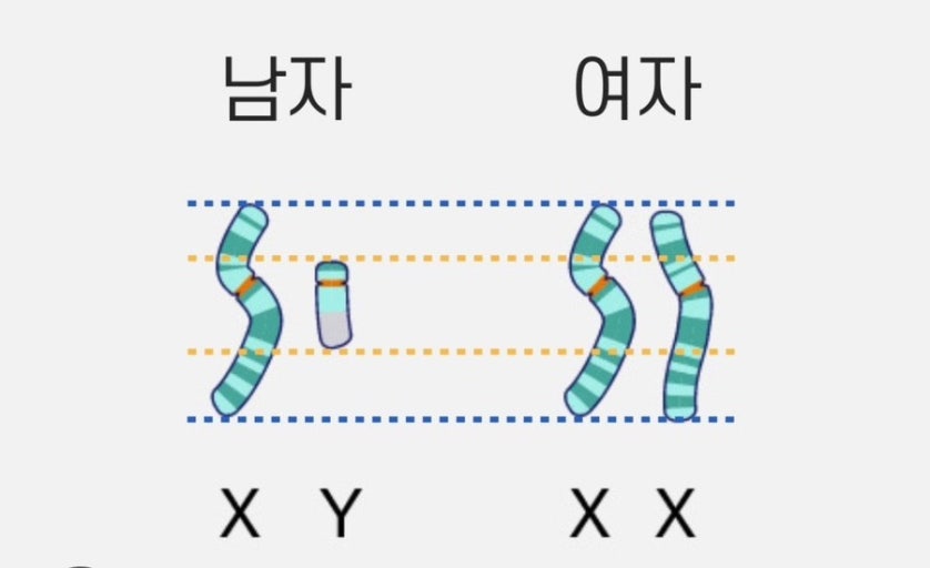 ywRYWN