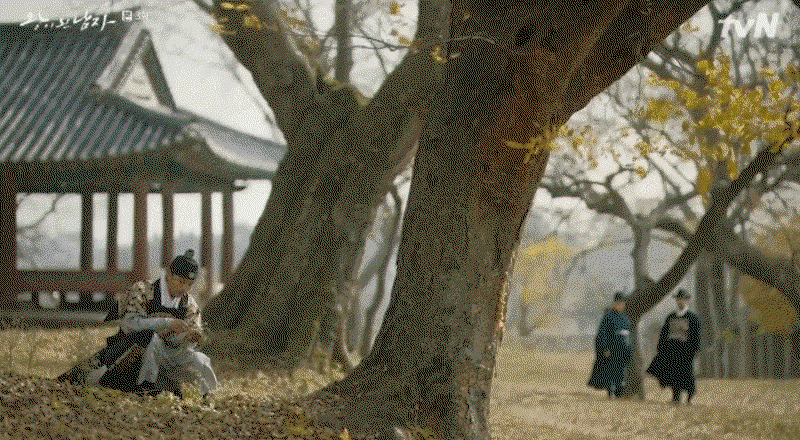 yxcgYU.gif