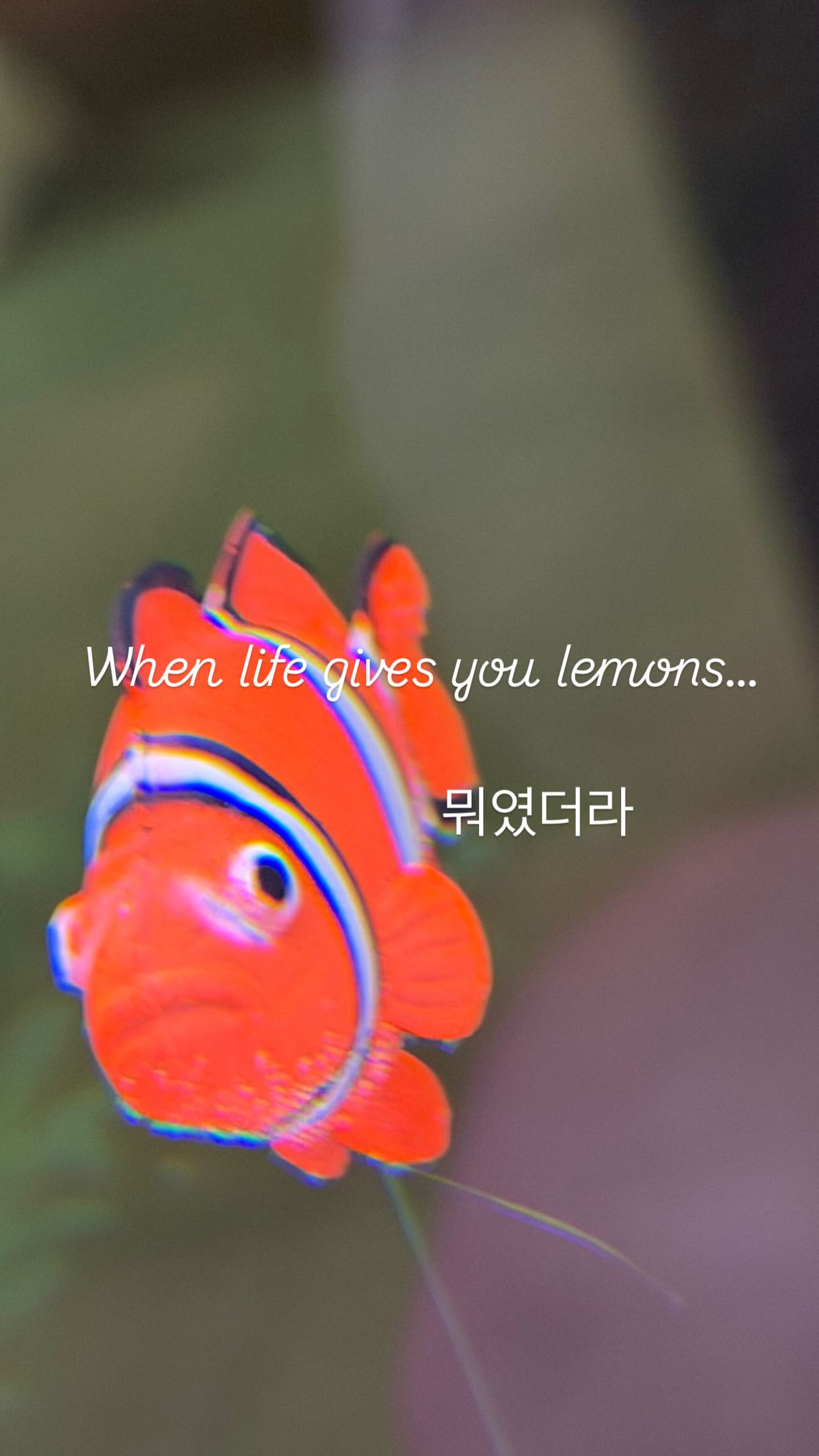 yyCLZa