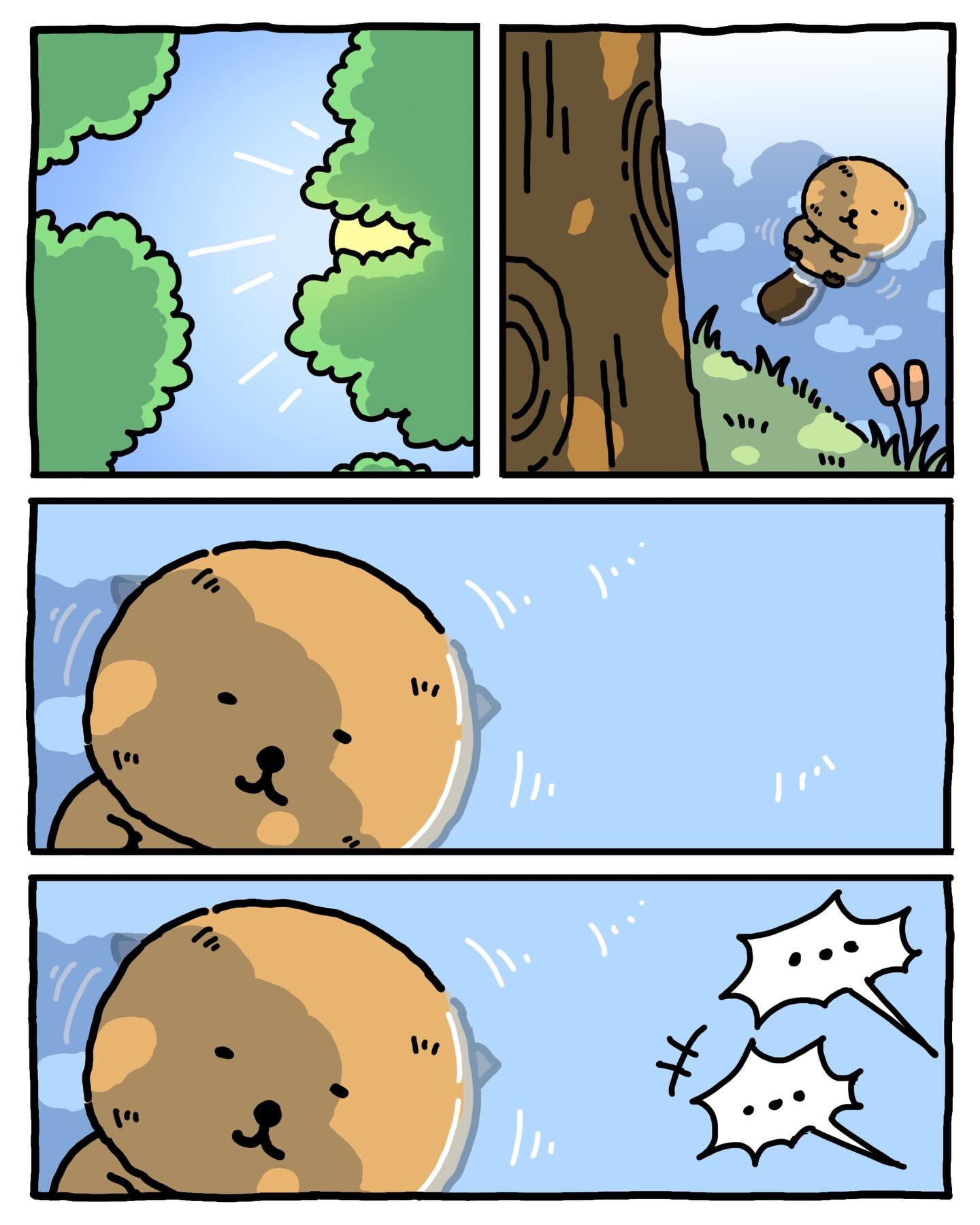 yyECPV