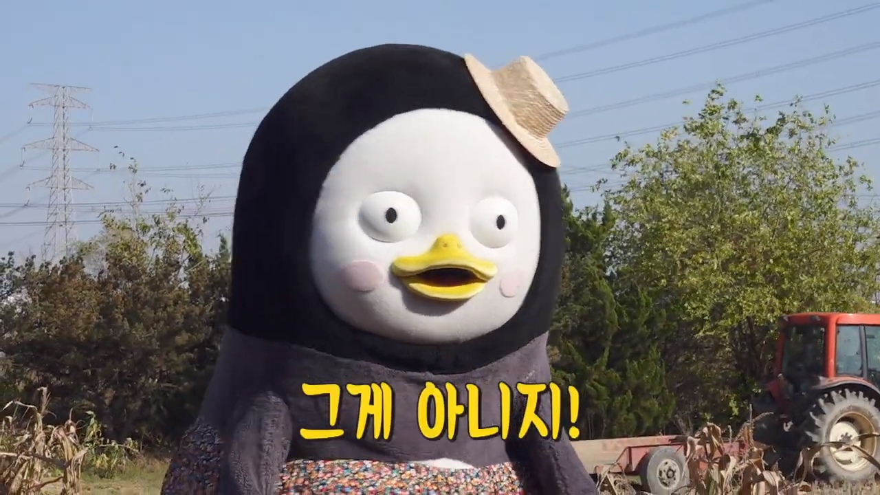 yyIbTM