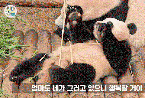 yzLXWO.gif