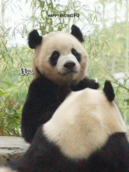 zCmiVf.gif