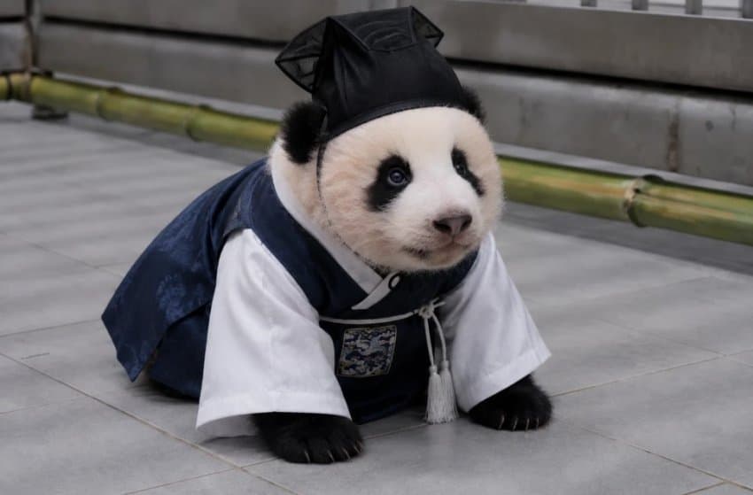 zFCene