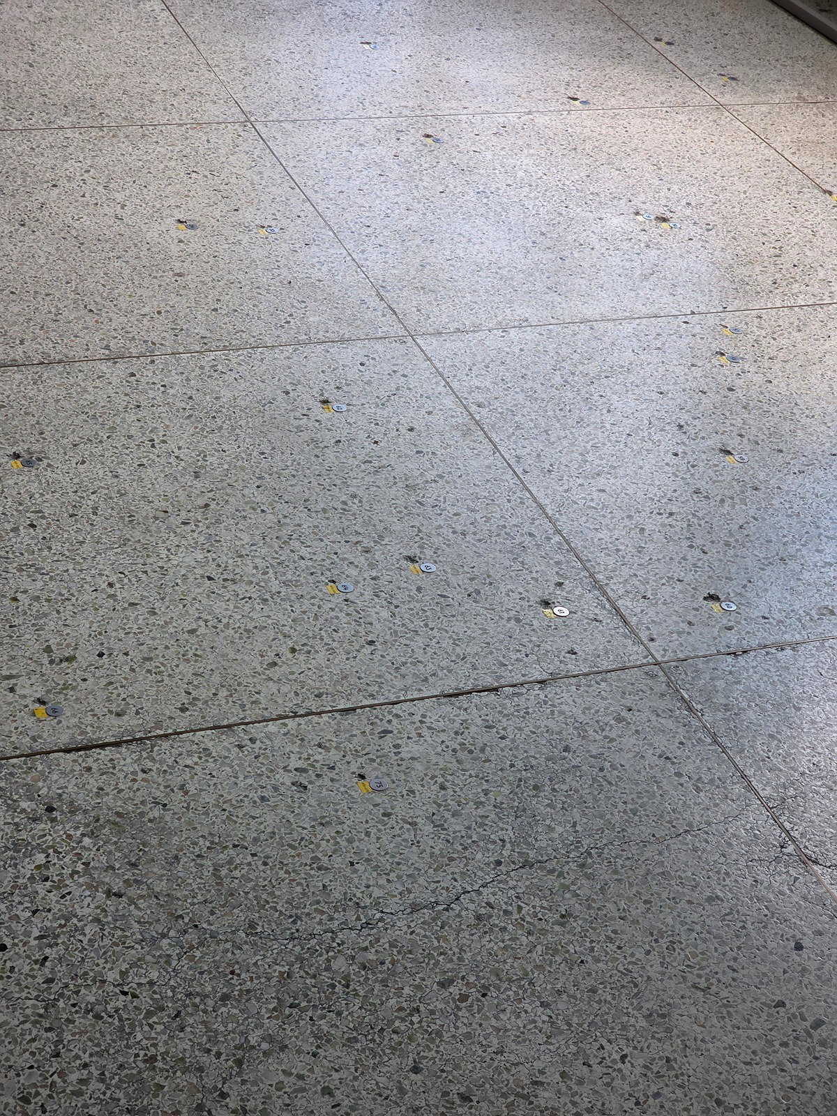 zFwSdo