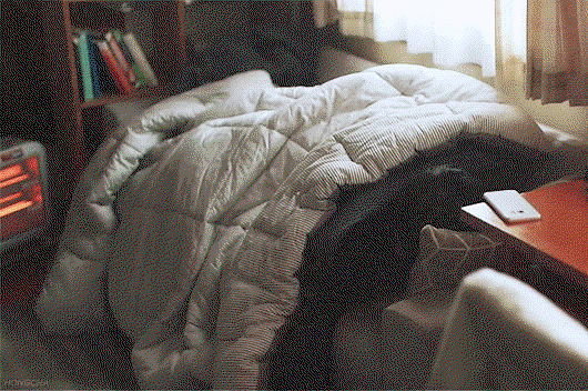 zJptgs.gif
