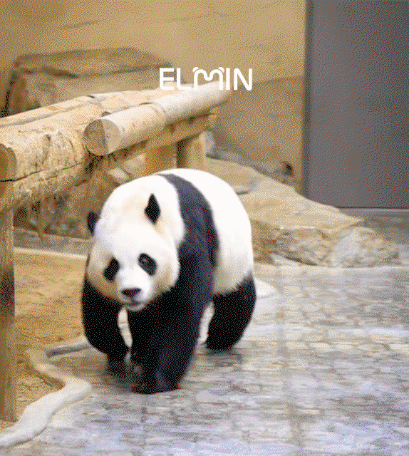 zJuuwz.gif