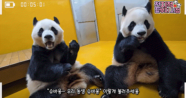 zKHbQx.gif