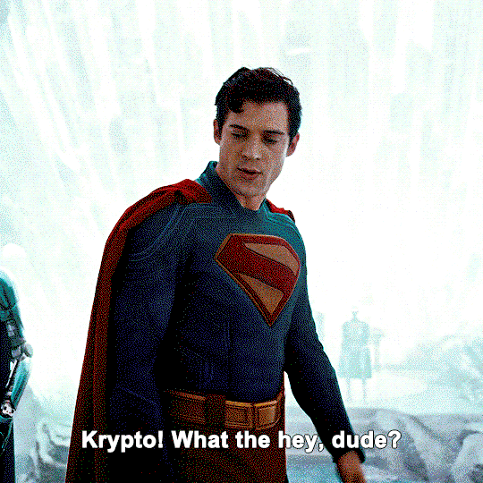 zKbOum.gif