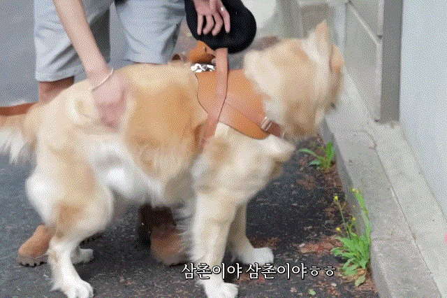 zKxpxP.gif