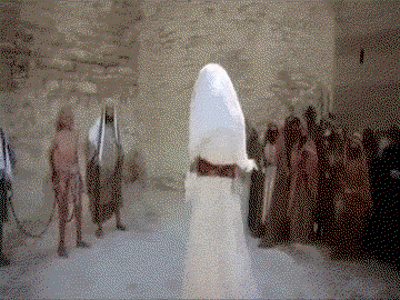 zOKONh.gif