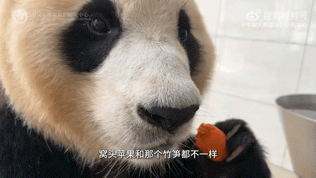 zQHBLi.gif