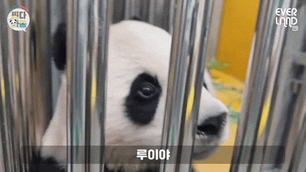 zQQbWd.gif