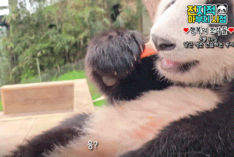 zROKBf.gif