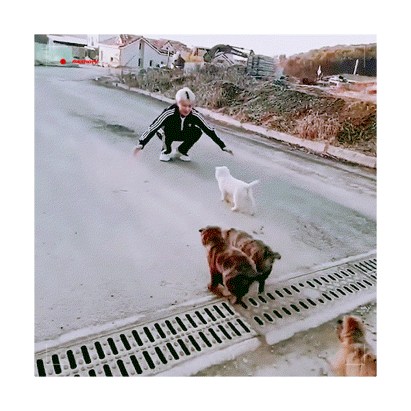 zRmHVL.gif
