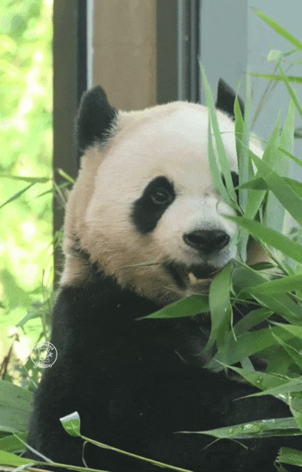 zTbZsI.gif
