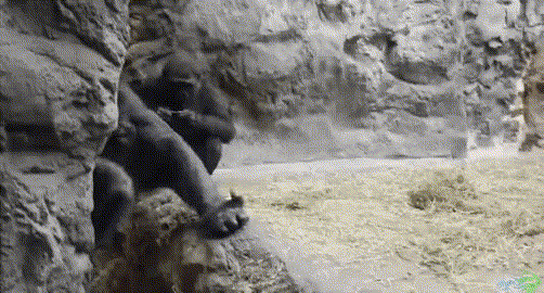 zTeujm.gif