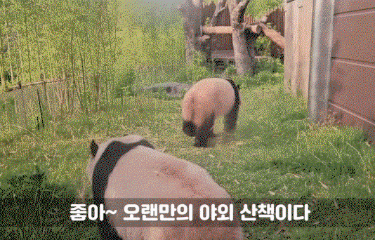 zVGeET.gif